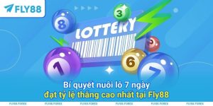 Bí quyết nuôi lô 7 ngày đạt tỷ lệ thắng cao nhất tại Fly88