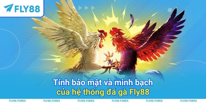 Tính bảo mật và minh bạch của hệ thống đá gà Fly88